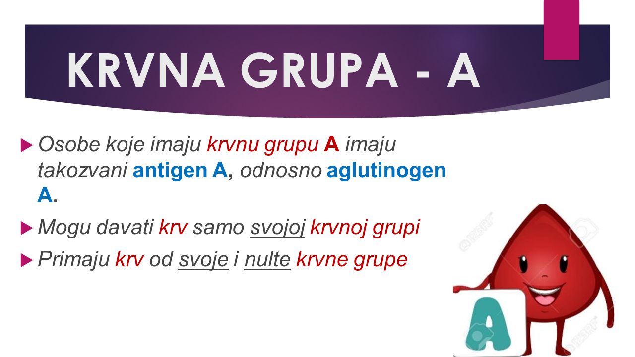 KRVNA GRUPA - A  Osobe koje imaju krvnu grupu A imaju takozvani antigen A, odnosno aglutinogen A.