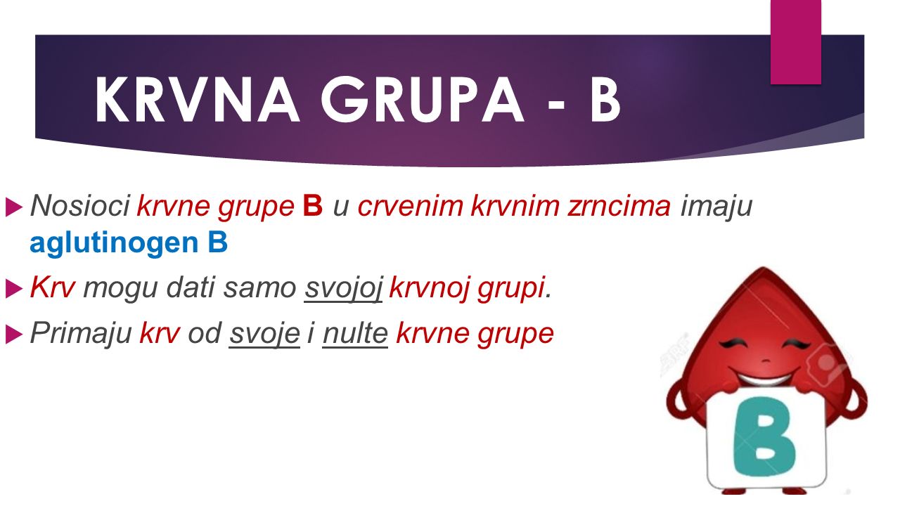 KRVNA GRUPA - B  Nosioci krvne grupe B u crvenim krvnim zrncima imaju aglutinogen B  Krv mogu dati samo svojoj krvnoj grupi.